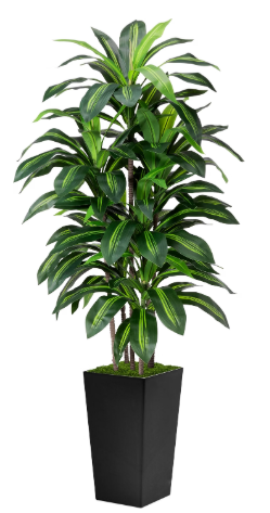ASTIDY 5FT Artificial Dracaena Faux Tree with Black Tall Planter