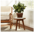 Nearly Natural 22" Artificial Triple Golden Dieffenbachia with Wood Vase