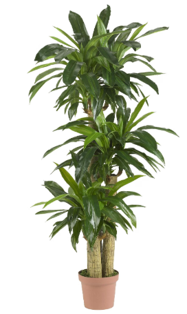 Nearly Natural 62" Artificial Corn Stalk Dracaena Plant