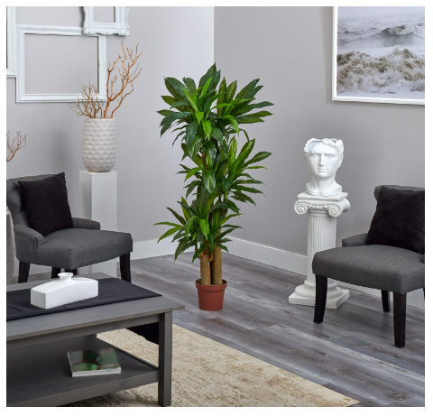 Nearly Natural 62" Artificial Corn Stalk Dracaena Plant