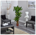 Nearly Natural 62" Artificial Corn Stalk Dracaena Plant