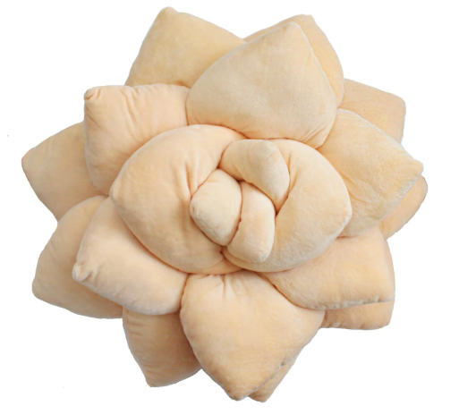 Green Philosophy Co. Succulent® Pillow | Blush Peach | 20-Inch